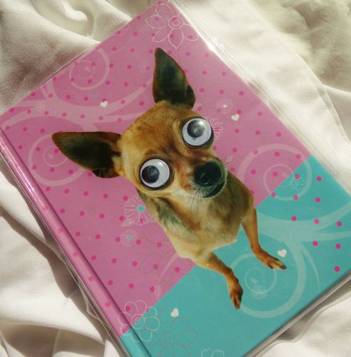 HARD COVER BIG EYED PUPPY DOG KIDS NOTE PAD* CHIHUAHUA *TOO CUTE