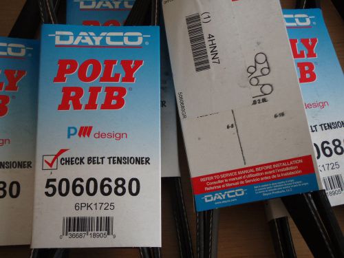 Box of Six (6): DAYCO Poly Rib Gold Label 6PK1730 5060680 !BD0!