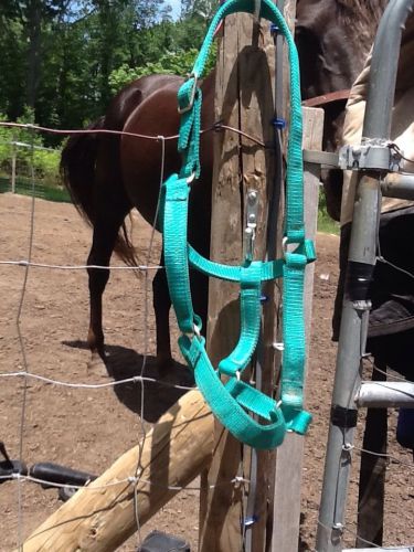 Green Cow Halter