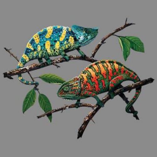 Chameleon 2 Lizard HEAT PRESS TRANSFER PRINT for T Shirt Tote Sweatshirt 519h