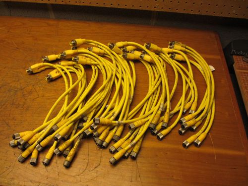 Lumberg Lot of 25 Double End Cordset ASB2-RKT 4/3-695/0.3M Molded Twin Cable