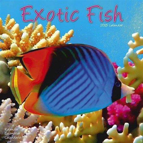 NEW 2015 Exotic Fish Wall Calendar by Avonside- Free Priority Shipping!