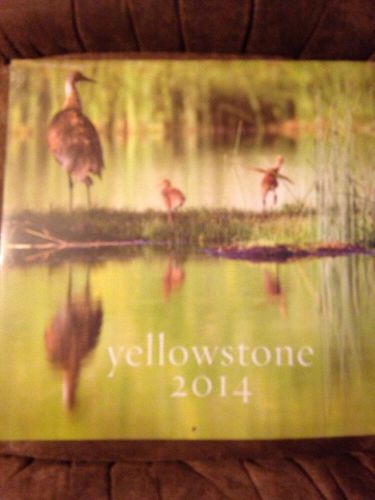 Yellowstone 12 Month Calendar Wildlife Nature Photos Great For Framing