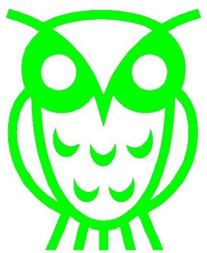 30 Custom Alien Green Abstract Owl Personalized Address Labels