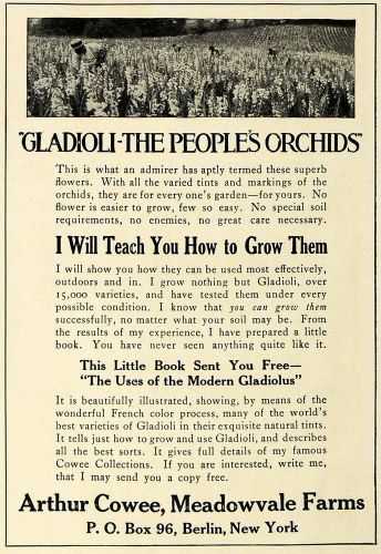 1912 ad arthur cowee gladioli orchards medowvale farms - original sub1 for sale