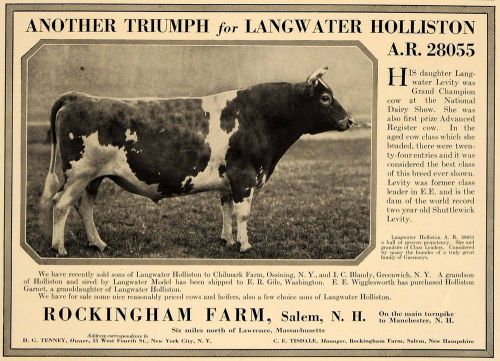 1923 ad rockingham farm national dairy show champ bull - original cl4 for sale