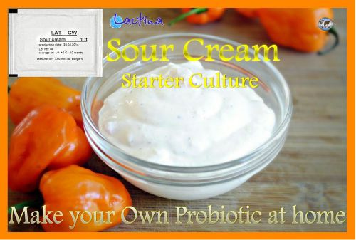 Lactina sour cream /???????/ - for homemade 10 litres probiotic dairy product for sale