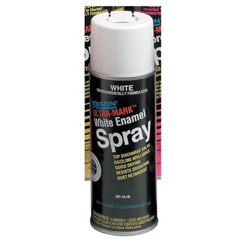 Spray Paint, White, 15 min., 16 oz. SP16W