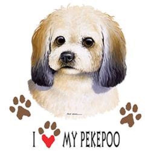 I love my pekepoo dog heat press transfer for t shirt sweatshirt fabric 891f for sale