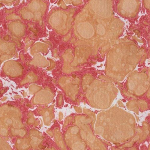 marbled paper for restoration marbling bookbinding Marmorpapier #5068