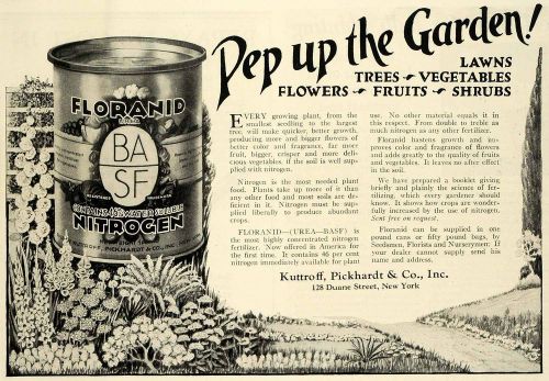 1925 Ad Kuttrof Pickhardt Floranid Nitrogen Flower Food Crops Grass Lawn HG1