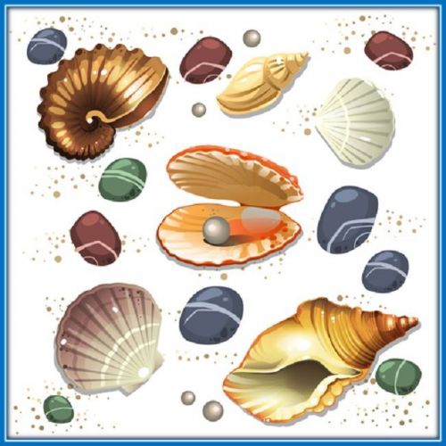 30 Custom Beach Shell Art Personalized Address Labels