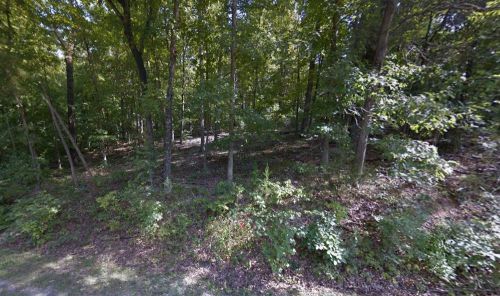Build Able Lot In Cherokee Village For Sale 019212