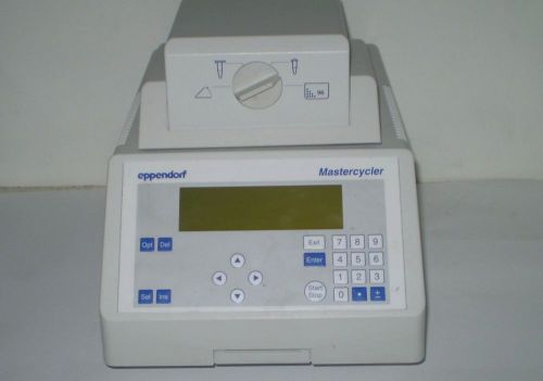 EPPENDORF MasterCycler 5331 96 Well Thermal Cycler