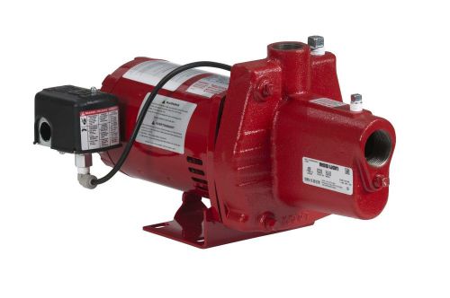 Red lion rjs-100 shallow well jet pump, cast iron, 1-hp 24-gpm for sale