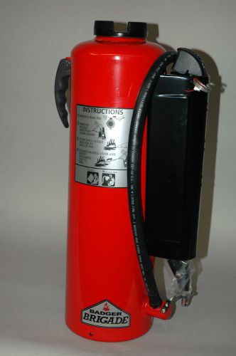 Badger fire protection extinguisher b30rg bc brigade 466539 for sale