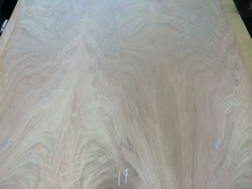 Wood Veneer Crotch Okoume 48x48 1pcs total 20mil Paper Backed &#034;EXOTIC&#034; CRLM14