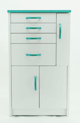 DENTAL MEDICAL MOBILE CABINET CART MULTIFUNCTIONAL DRAWERS W/ WHEELS GREEN SMALL