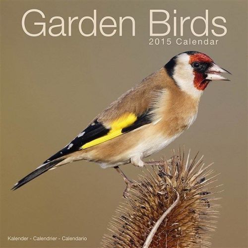NEW 2015 Garden Birds Wall Calendar by Avonside- Free Priority Shipping!