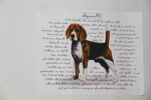 Package of 100 Full Color Printing Heat Transfers Beagle New in Package