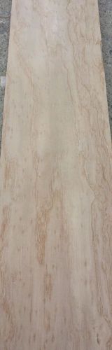 Wood veneer chestnut birdeyes