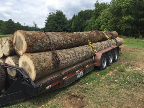 Poplar Logs Veneer Quality
