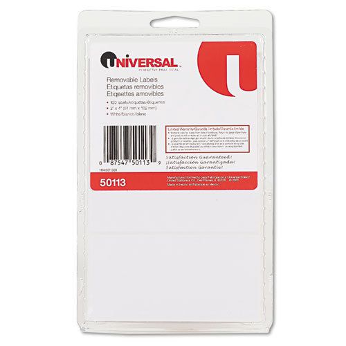 Removable Self-Adhesive Multi-Use Labels, 2 x 4, White, 120/Pack