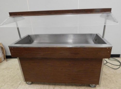 Lakeside portable cold ice buffet 58&#034; wide lighted - send best offer for sale