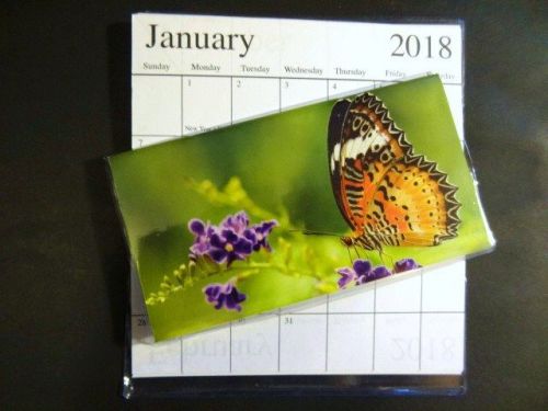 2017 2018 Butterfly Two Year Planner Pocket Purse 17-18 Calendar Christmas Gift