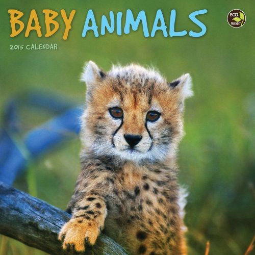 2015 BABY ANIMALS Mini Desk Calendar NEW 7x7 Panda Tiger Penguin Raccoon Gorilla