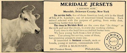 1906 Ad Meridale Jersey Cows Bulls Ayer McKinney - ORIGINAL ADVERTISING CL4