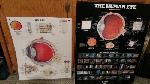 Vintage The Eye Anatomical Chart + Human Eye Poster + Optomitrist Exam Kit LOT