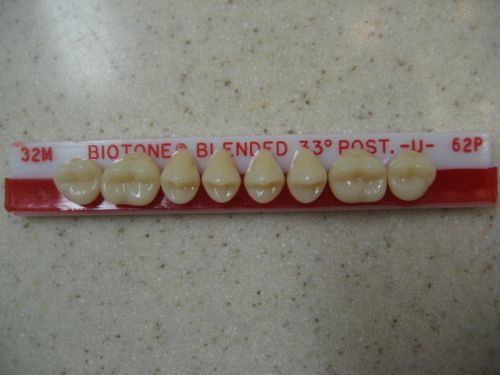 Dentsply Trubyte BioTone 33° Upper Posterior Mould 32M / 62P Dental Teeth