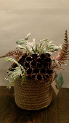 Ashland Ashland Floral Accent Arrangement/Jute Container /9&#034;Tall/Unique Flowers