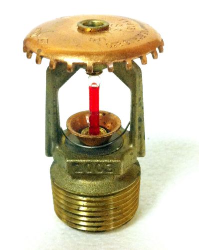Tyco TY4131 3/4&#034; 155*F Quick Response Brass Upright Fire Sprinkler Head K=8.0