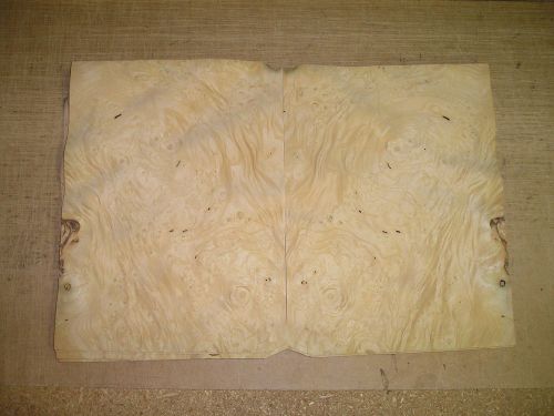 White Ash Burl Veneer. 10.5 x 14, 24 Sheets.
