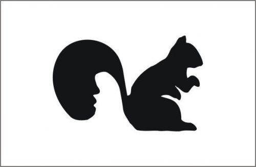 2X Squirrel Figure Funny Car Vinyl Sticker Decal -197