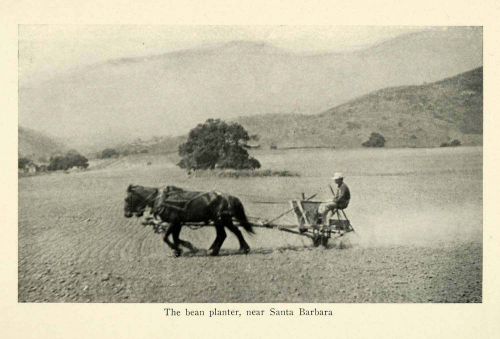 1913 Print Farmer Horse Plow Bean Planter Santa Barbara Field Yoke XGM4