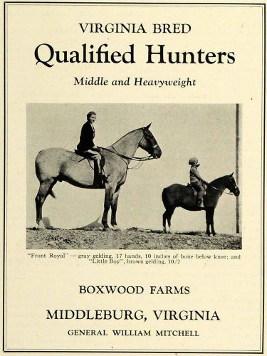 1930 Ad Boxwood Farms Hunter Horse Breeders Virginia - ORIGINAL ADVERTISING SPM1