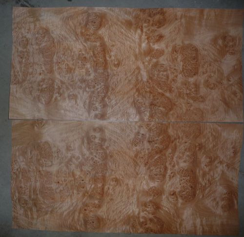 Maple Burl cluster wood veneer 16&#034;x33&#034;