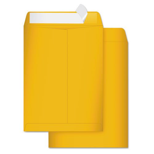 High Bulk Redi-Strip Catalog Envelope, 9 x 12, 250/Box