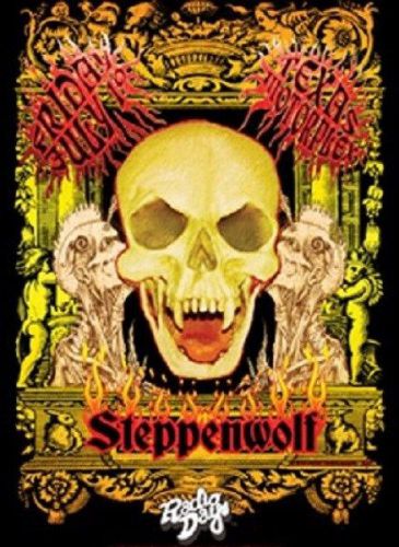 Steppenwolf Flame Concert HEAT PRESS TRANSFER for T Shirt Sweatshirt Fabric 725o