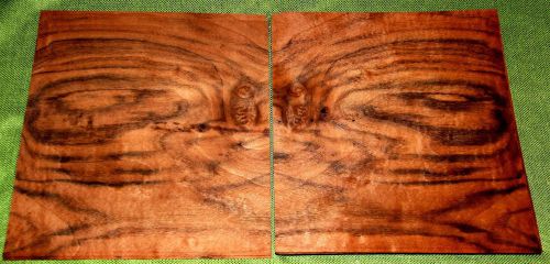 2 leafs of European Walnut Burl @ 5 x 4 wood Veneer  #v1261