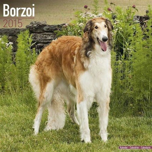 NEW 2015 Borzoi Wall Calendar by Avonside- Free Priority Shipping!