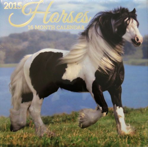 New 2015 Pictures Of Horses Wall Calendar With Holidays 16 Month 12x12