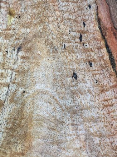 Curly mango live edge reclaimed slab from hawaii 24&#034;x12x2 for fine woodworking for sale