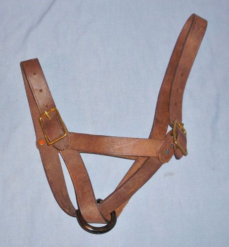 Heavy Wide Leather Steer Cow Bull Halter Livestock Tack Ranch Equipment