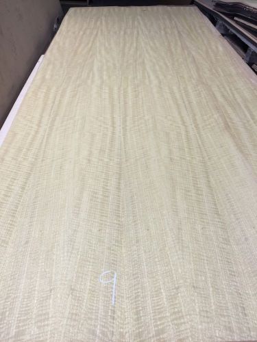 Wood Veneer Movingue 36x120 1 Piece 10Mil Paper Backed &#034;EXOTIC&#034; 1628 #9