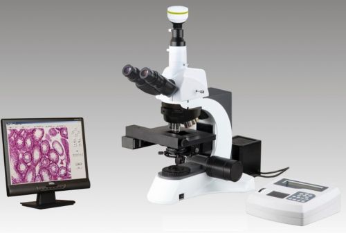 Motic BA410 Upright Biological/Clinical Microscope