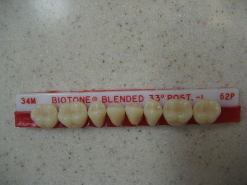 Dentsply Trubyte BioTone 33° Lower Posterior Mould 34M / 62P  Dental Teeth